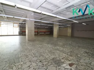Pronájem obchodního prostoru, Sokolov, Karla Havlíčka Borovského, 720 m2