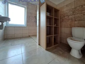 Prodej zemědělské usedlosti, Havlíčkova Borová - Železné Horky, 107 m2