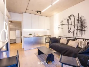Pronájem bytu 1+kk, Brno, Bratislavská, 26 m2