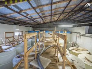 Pronájem výrobních prostor, Nová Ves u Chotěboře, 266 m2
