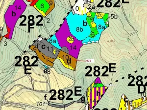 Dražba lesa, Lhota Rapotina, 4308 m2