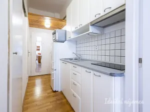 Pronájem bytu 1+kk, Praha - Žižkov, Biskupcova, 29 m2