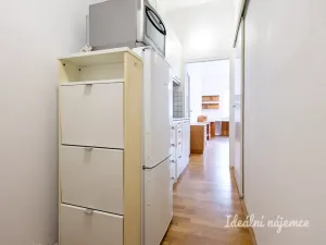 Pronájem bytu 1+kk, Praha - Žižkov, Biskupcova, 29 m2