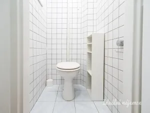 Pronájem bytu 1+kk, Praha - Žižkov, Biskupcova, 29 m2