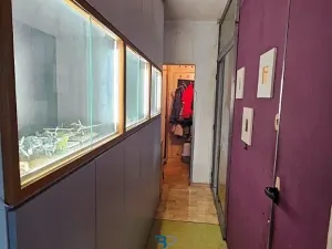 Prodej bytu 2+1, Praha - Malešice, Limuzská, 47 m2