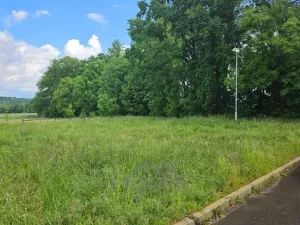 Prodej pozemku pro bydlení, Skuhrov - Hatě, 914 m2