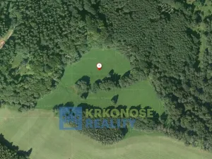 Prodej lesa, Trutnov - Babí, 44299 m2