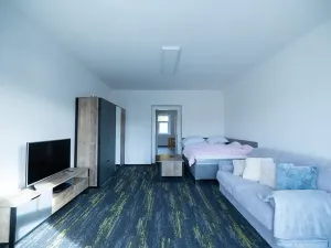 Prodej vícegeneračního domu, Vejprty, 900 m2