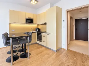 Pronájem bytu 1+kk, Praha - Žižkov, Olšanská, 37 m2