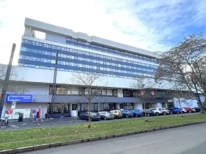 Pronájem kanceláře, Praha - Holešovice, Dělnická, 1252 m2