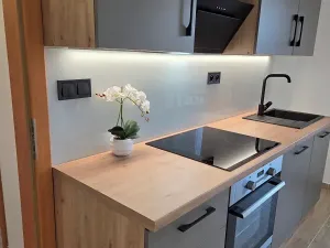 Pronájem bytu 2+kk, Prostějov, Vodní, 45 m2
