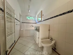 Prodej rodinného domu, Vranov, 220 m2