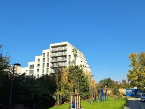 Pronájem bytu 2+kk, Praha - Karlín, Švarcova, 54 m2