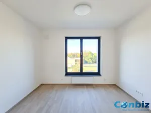 Pronájem bytu 3+kk, Praha - Karlín, Švarcova, 75 m2