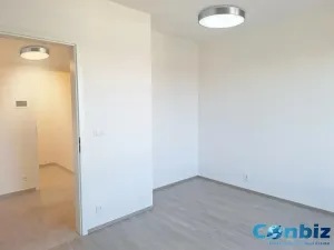 Pronájem bytu 3+kk, Praha - Karlín, Švarcova, 75 m2
