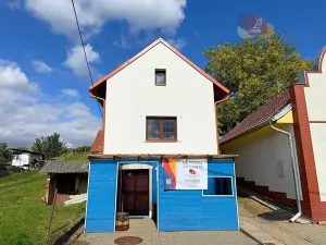 Prodej vinného sklepa, Mutěnice, Slovácká, 164 m2