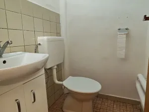 Prodej rodinného domu, Chlumec nad Cidlinou, Tylova, 160 m2