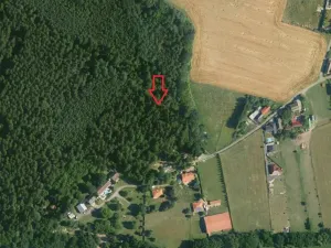 Prodej lesa, Doubek, 15479 m2