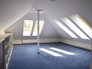 Prodej vícegeneračního domu, Olšany, 392 m2