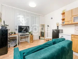 Prodej bytu 1+1, Zlín, 2. května, 40 m2