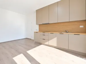 Pronájem bytu 1+kk, Brno - Trnitá, Křenová, 40 m2