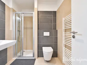 Pronájem bytu 1+kk, Brno - Trnitá, Křenová, 40 m2