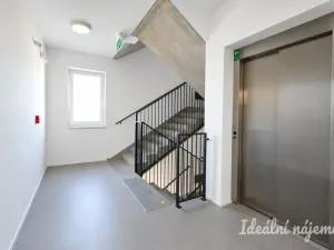 Pronájem bytu 1+kk, Brno - Trnitá, Křenová, 40 m2