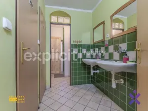 Prodej chaty, Bystřice pod Lopeníkem, 172 m2
