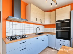 Pronájem bytu 2+1, Brno - Štýřice, Renneská třída, 54 m2