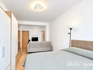 Pronájem bytu 2+1, Brno - Štýřice, Renneská třída, 54 m2