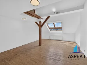 Prodej bytu 3+kk, Praha - Nové Město, Jungmannova, 140 m2