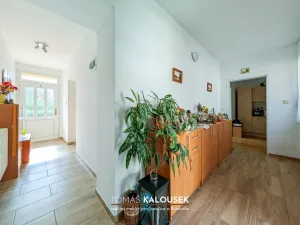 Prodej rodinného domu, Dolní Kounice, Ivančická, 55 m2