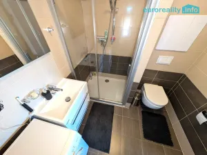 Prodej bytu 2+kk, Plzeň, Poděbradova, 63 m2