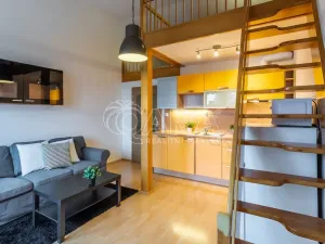 Pronájem bytu 1+kk, Dolní Břežany, Ke Kapličce, 30 m2