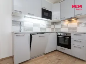 Pronájem bytu 1+kk, Plzeň - Litice, Vysoká, 38 m2
