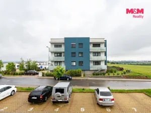 Pronájem bytu 1+kk, Plzeň - Litice, Vysoká, 38 m2