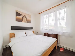 Prodej bytu 4+1, Nová Ves, 73 m2