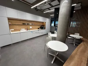 Pronájem kanceláře, Ostrava - Moravská Ostrava, náměstí Biskupa Bruna, 506 m2