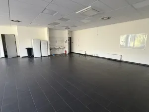 Pronájem skladu, Ostrava - Kunčičky, Lihovarská, 18750 m2