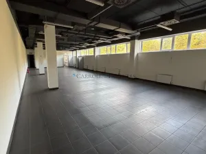 Pronájem skladu, Ostrava - Kunčičky, Lihovarská, 5700 m2