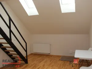 Pronájem bytu 1+1, Plzeň - Jižní Předměstí, Nerudova, 45 m2
