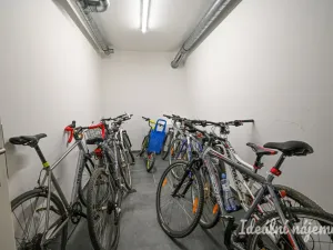 Pronájem bytu 1+kk, Brno - Horní Heršpice, Jižní, 42 m2