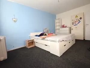 Prodej bytu 2+1, Blatná, 48 m2