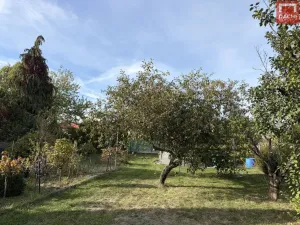Prodej zahrady, Olomouc, 752 m2