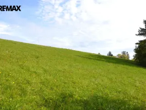 Prodej pozemku pro bydlení, Svojek, 1211 m2