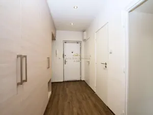 Prodej bytu 2+1, Praha - Žižkov, Pod lipami, 48 m2