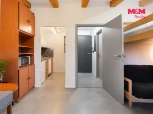 Pronájem bytu 1+kk, Janov nad Nisou, 25 m2