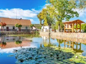 Prodej rodinného domu, Hudlice, Pod Skálou, 71 m2