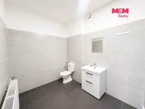 Pronájem bytu 2+1, Leština u Světlé - Štěpánov, 64 m2