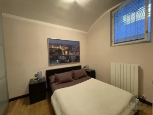 Pronájem bytu 2+kk, Praha - Vinohrady, Řipská, 60 m2